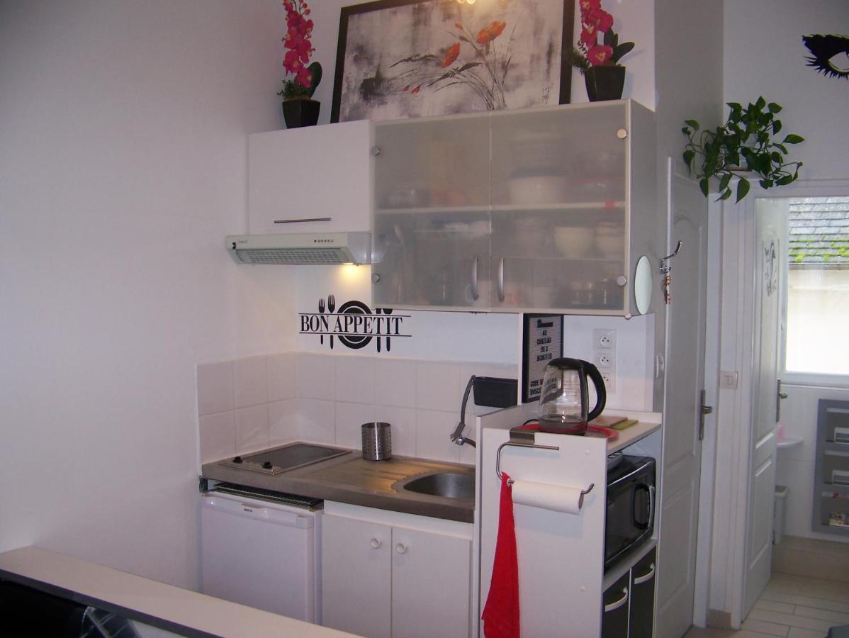 Charmant Studio Au Calme Tout Confort Dans Chateau Neo Gothique Proche Zenith Comet Orleans Parking Voiture Gratuit Wifi Haut Debit Rue Des Montees Exterior foto