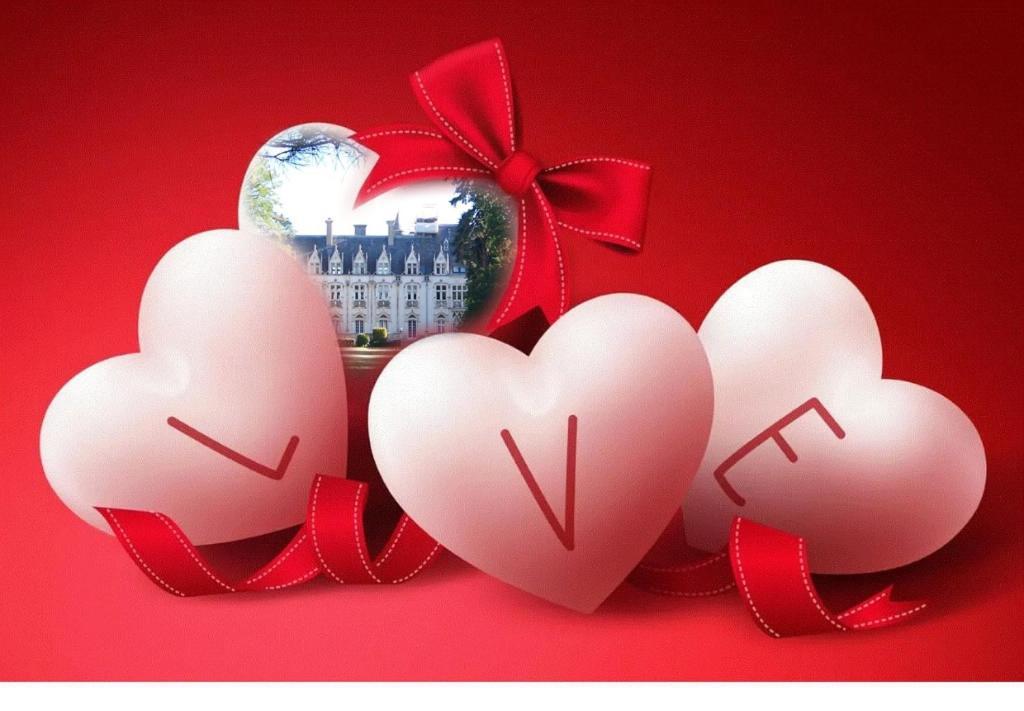 Charmant Studio Au Calme Tout Confort Dans Chateau Neo Gothique Proche Zenith Comet Orleans Parking Voiture Gratuit Wifi Haut Debit Rue Des Montees Exterior foto