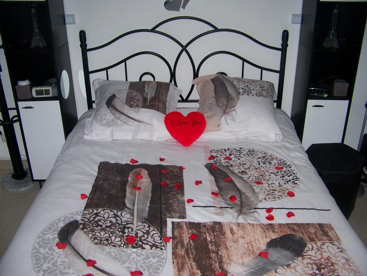 Charmant Studio Au Calme Tout Confort Dans Chateau Neo Gothique Proche Zenith Comet Orleans Parking Voiture Gratuit Wifi Haut Debit Rue Des Montees Exterior foto