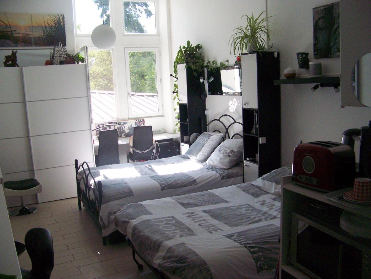 Charmant Studio Au Calme Tout Confort Dans Chateau Neo Gothique Proche Zenith Comet Orleans Parking Voiture Gratuit Wifi Haut Debit Rue Des Montees Exterior foto