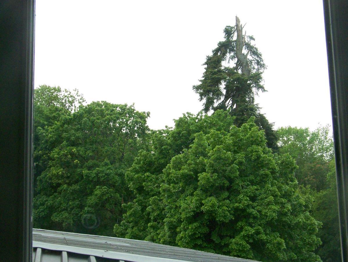 Charmant Studio Au Calme Tout Confort Dans Chateau Neo Gothique Proche Zenith Comet Orleans Parking Voiture Gratuit Wifi Haut Debit Rue Des Montees Exterior foto